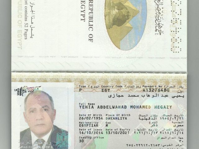 g. Yehia Abdelwahab Mohamed